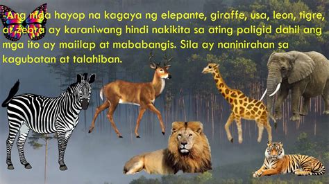 hayop kinantot|Ang 8 Mga Katangian na Nagiging Hayop ang Isang Hayop.